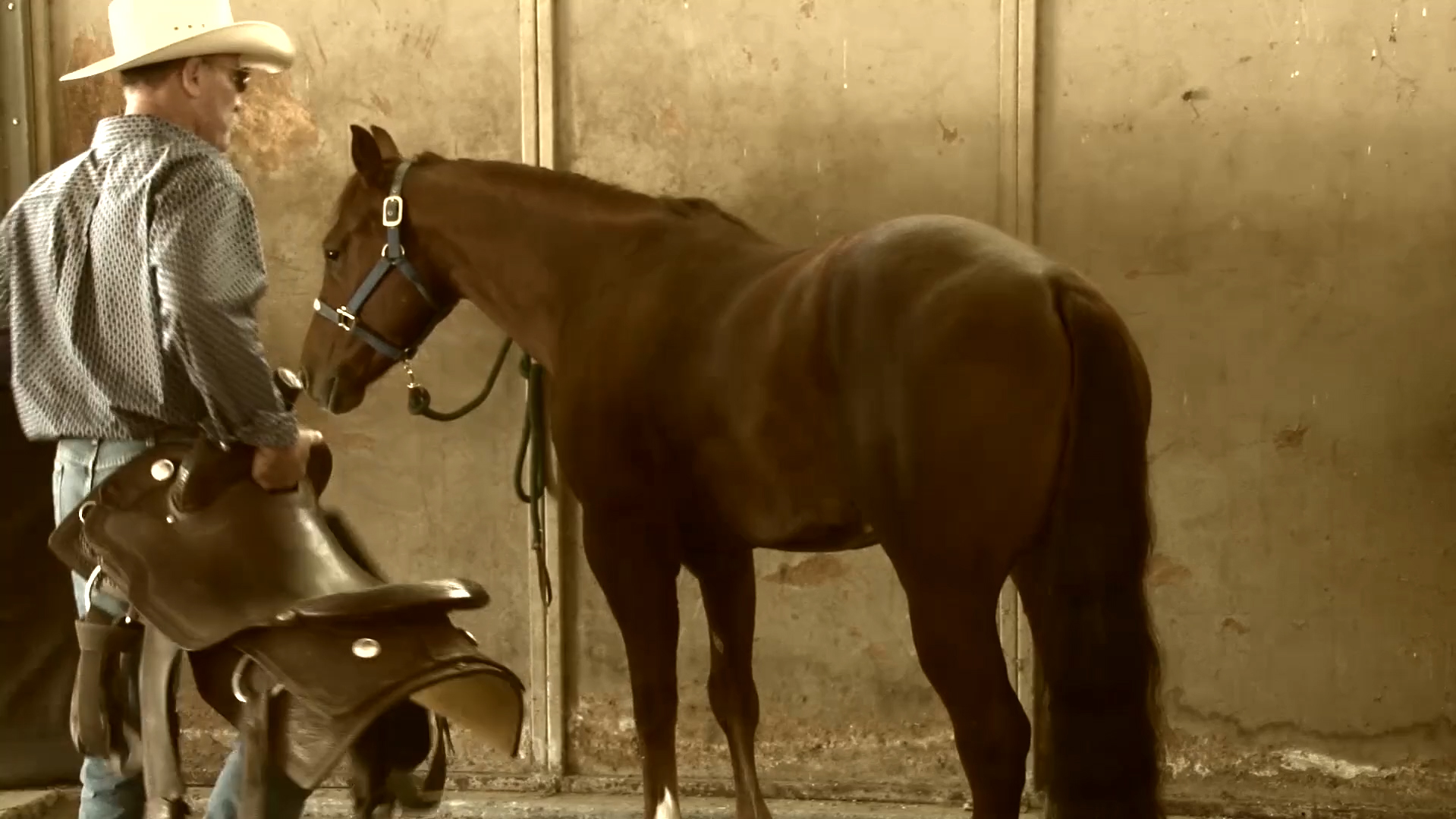 Prime Horse Property